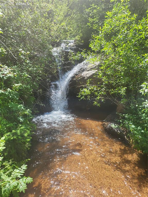 4440 Prairie Street Cascade, CO 80809 - Photo 31 of 31 a view of a yard with plants and trees