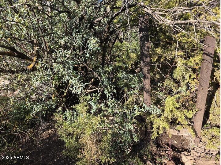 2062 East Horseshoe Springs Road Winkelman, AZ 85192 - Photo 28 of 32 Spring 1