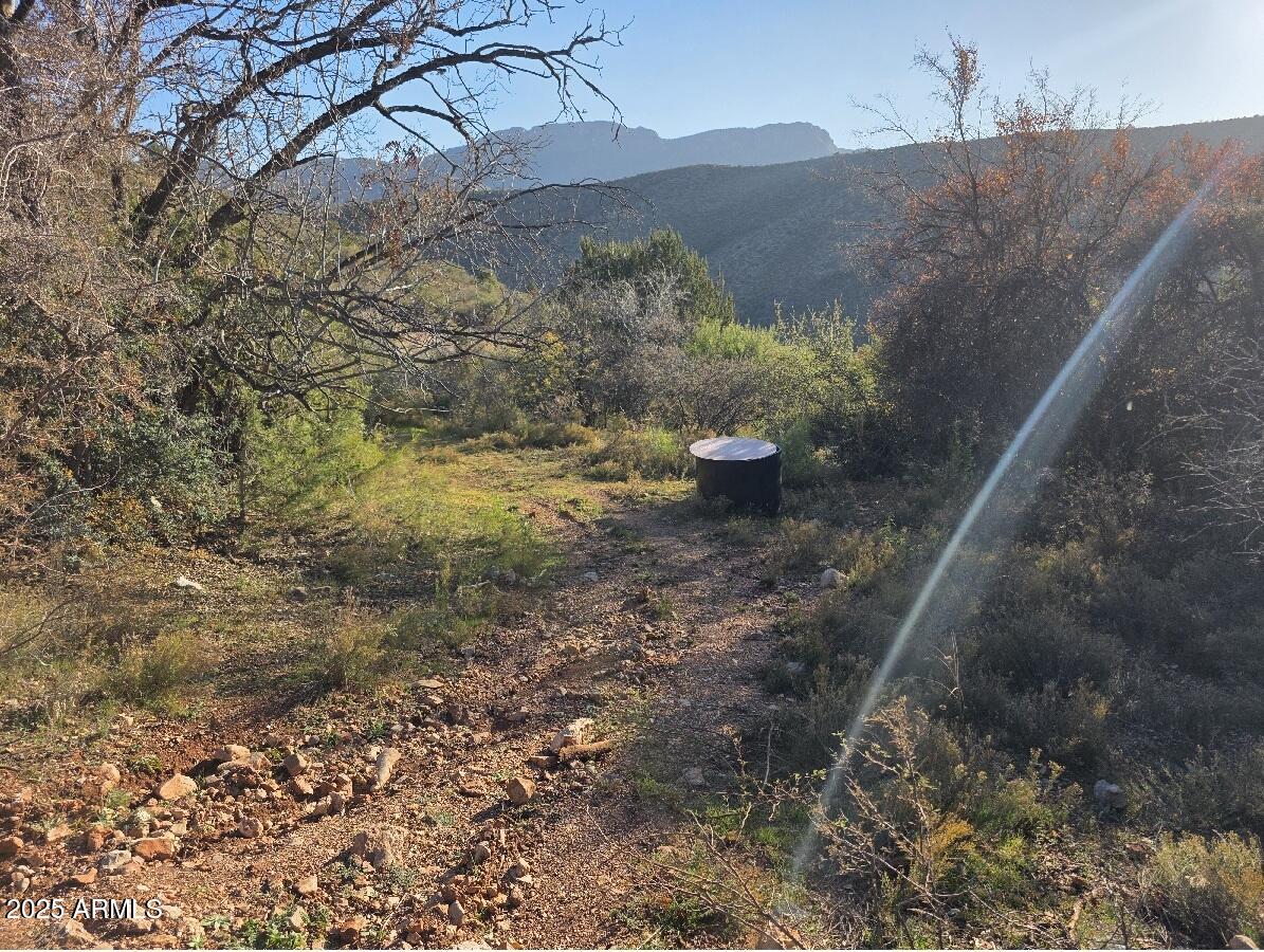 2062 East Horseshoe Springs Road Winkelman, AZ 85192 - Photo 29 of 32 Spring 2