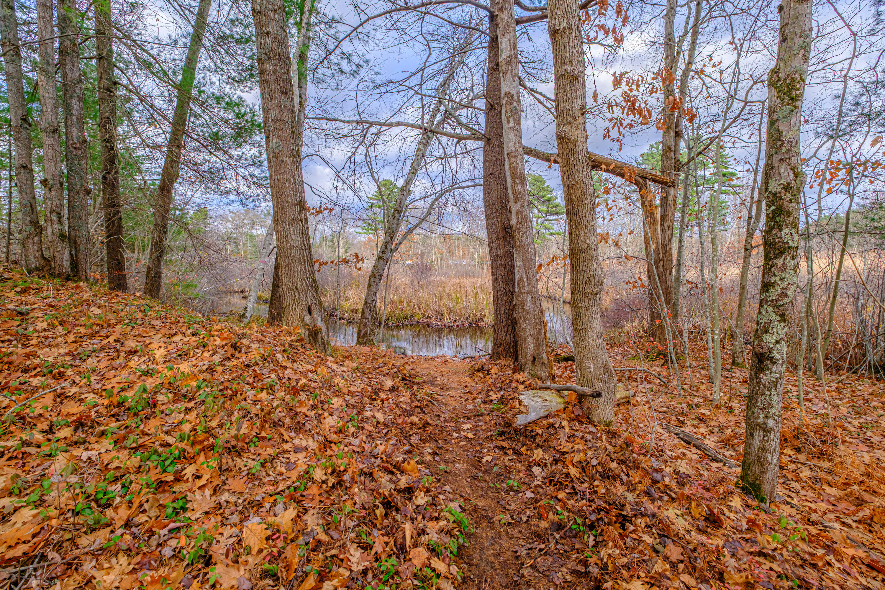 9 Ross Road Old Orchard Beach, ME 04064 - Photo 51 of 60 20251112gp-62058