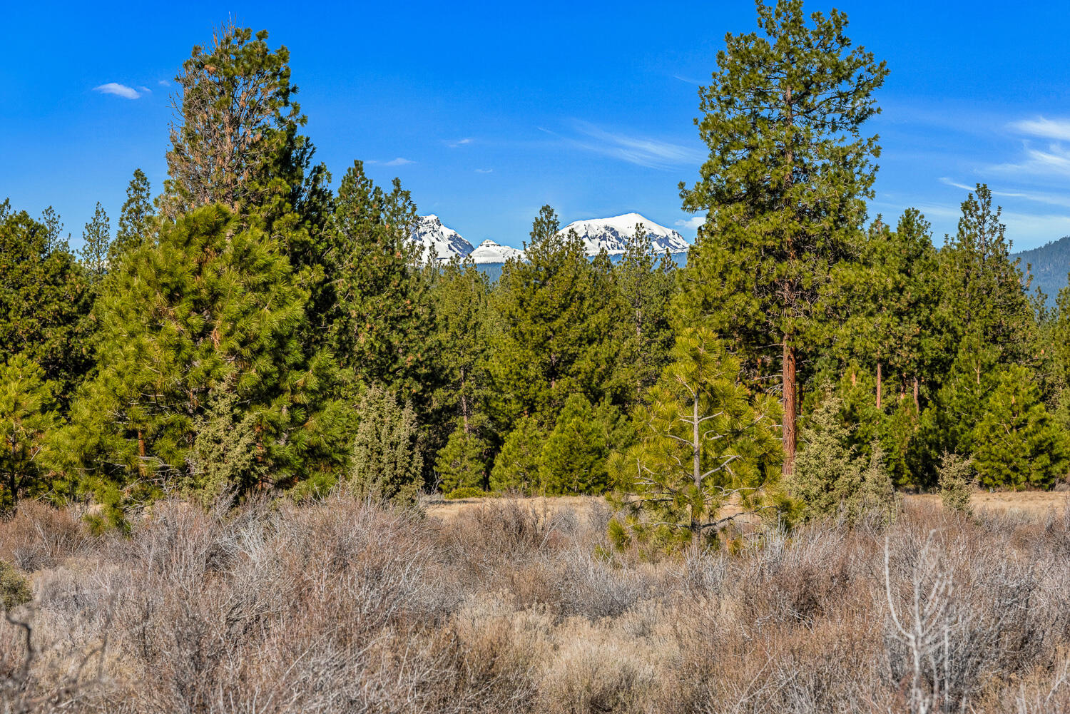 18945 Macalpine Loop Bend, OR 97702 - Photo 5 of 25 OReilly_20240402_8_295837_a_72ppi
