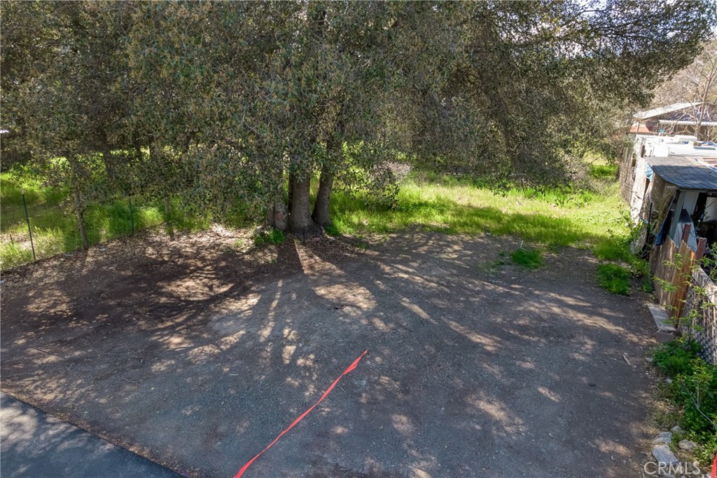 3391 9th Street Clearlake, CA 95422 - Photo 3 of 13 a view of a yard with plants and a trees
