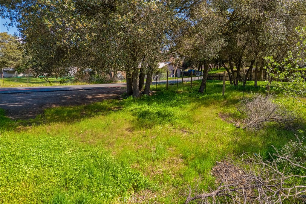 3391 9th Street Clearlake, CA 95422 - Photo 5 of 13 a view of backyard with green space