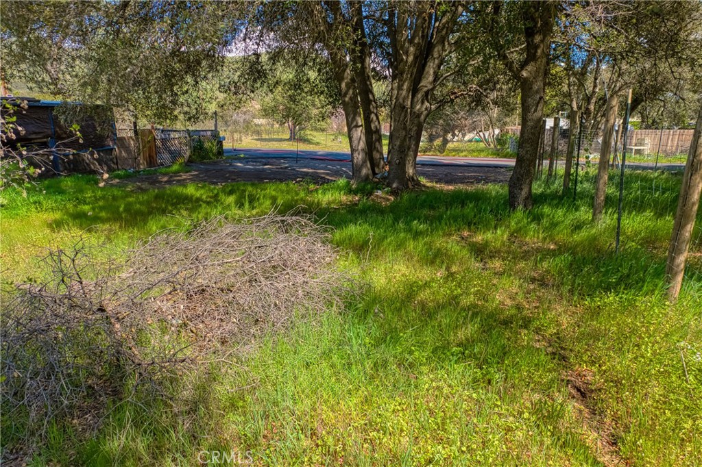 3391 9th Street Clearlake, CA 95422 - Photo 6 of 13 a view of backyard with tree