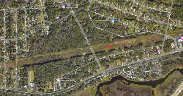 a picture of a plant