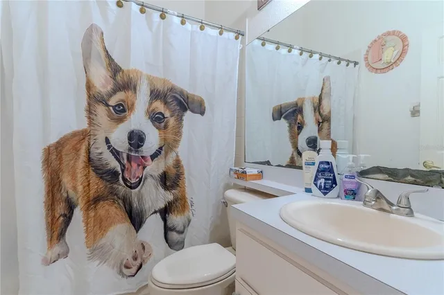 a bathroom with a sink toilet and mirror