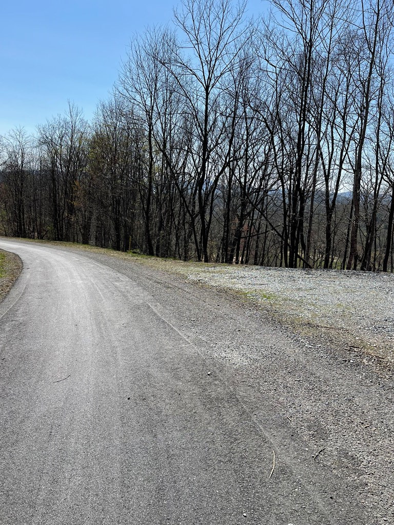 22-m 26m Ridges Hayesville, NC 28904 - Photo 5 of 6