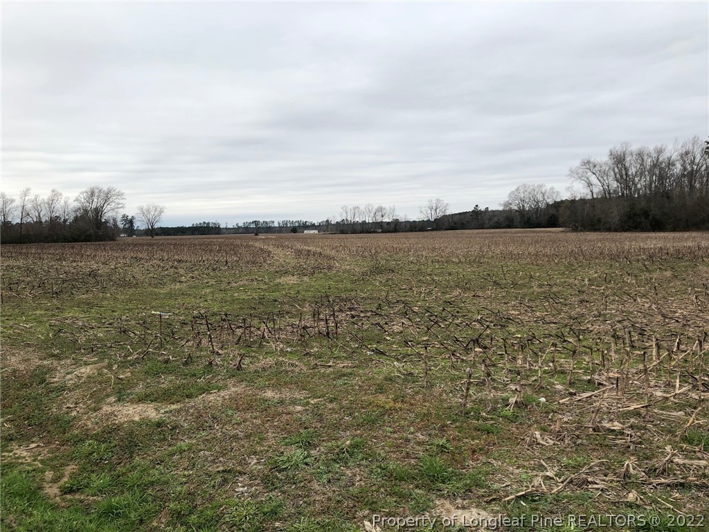 Hilly Branch Road Lumberton, NC 28360 - Photo 2 of 2 a view of an ocean