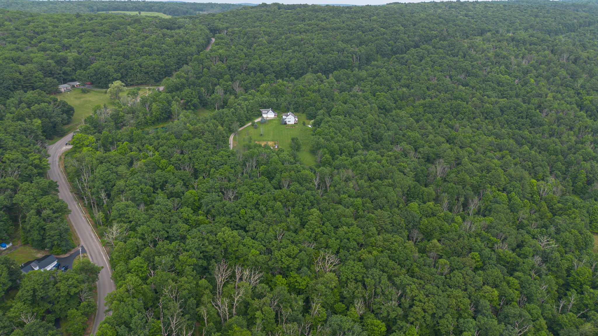 95 Candor Hill Road Candor, NY 13743 - Photo 41 of 49