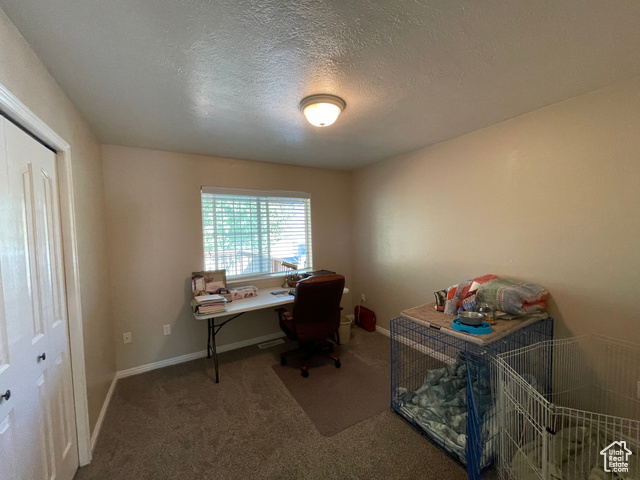 11473 South Dempsey Creek Road Lava Hot Springs, ID 83246 - Photo 12 of 47 Office with carpet flooring and a textured ceiling