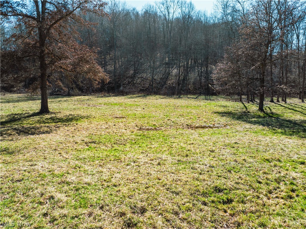 Eckley Road Jewett, OH 43986 - Photo 2 of 5 Gallery Image 2