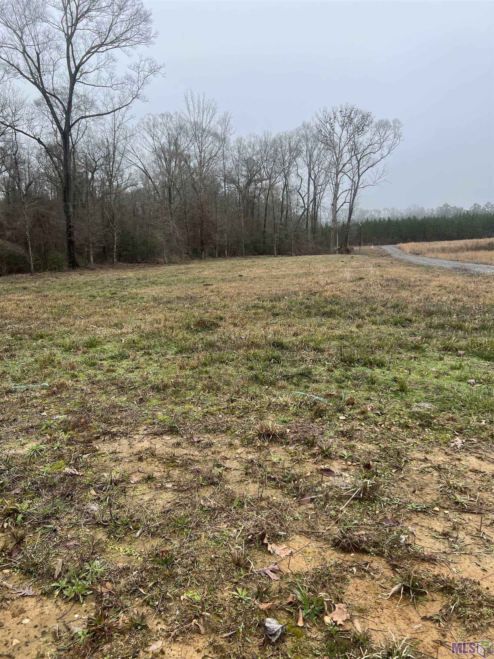 4353 Lower C C Road Clinton, LA 70722 - Photo 2 of 2