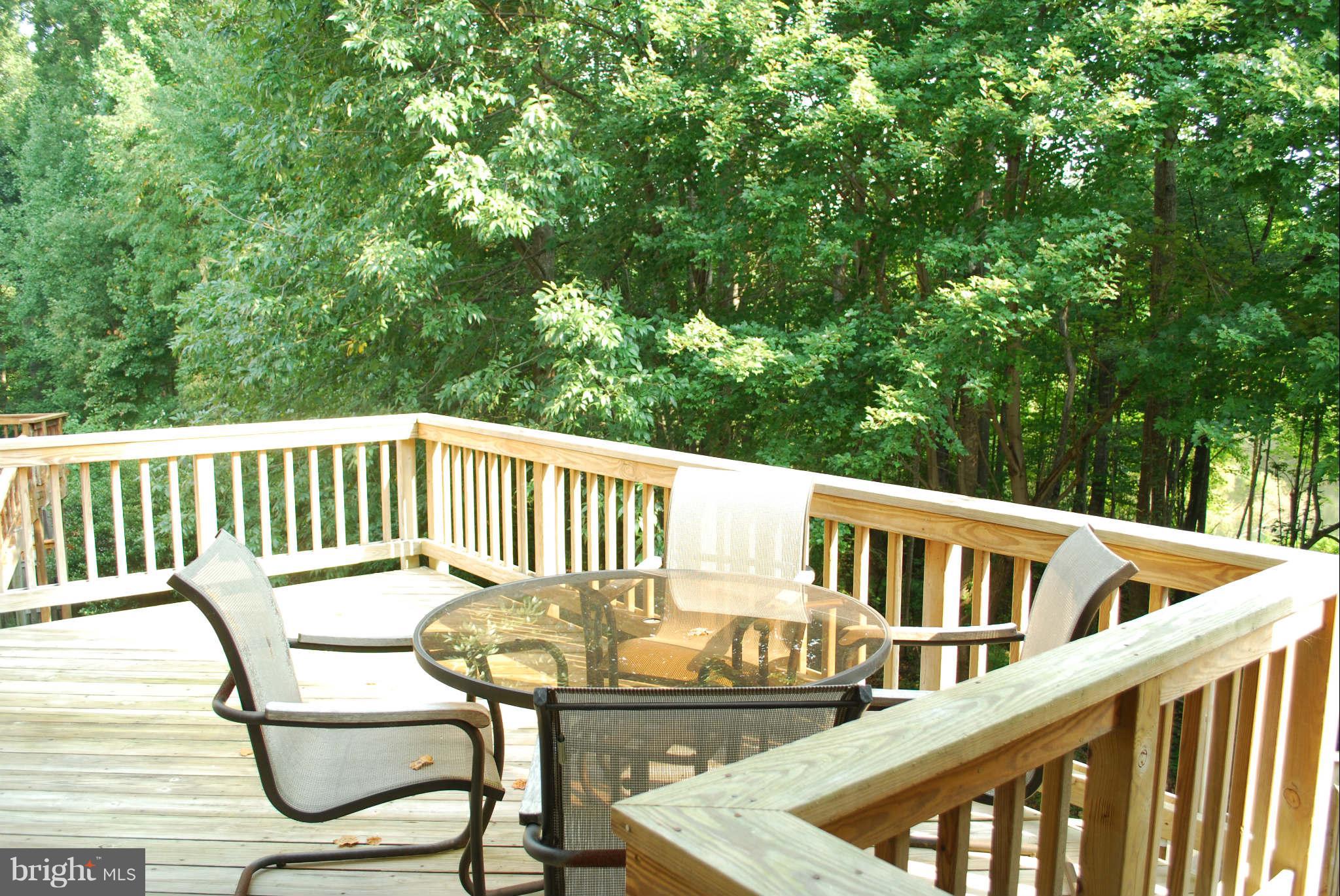 1225 Weatherstone Court Reston, VA 20194 - Photo 12 of 19 Deck Area