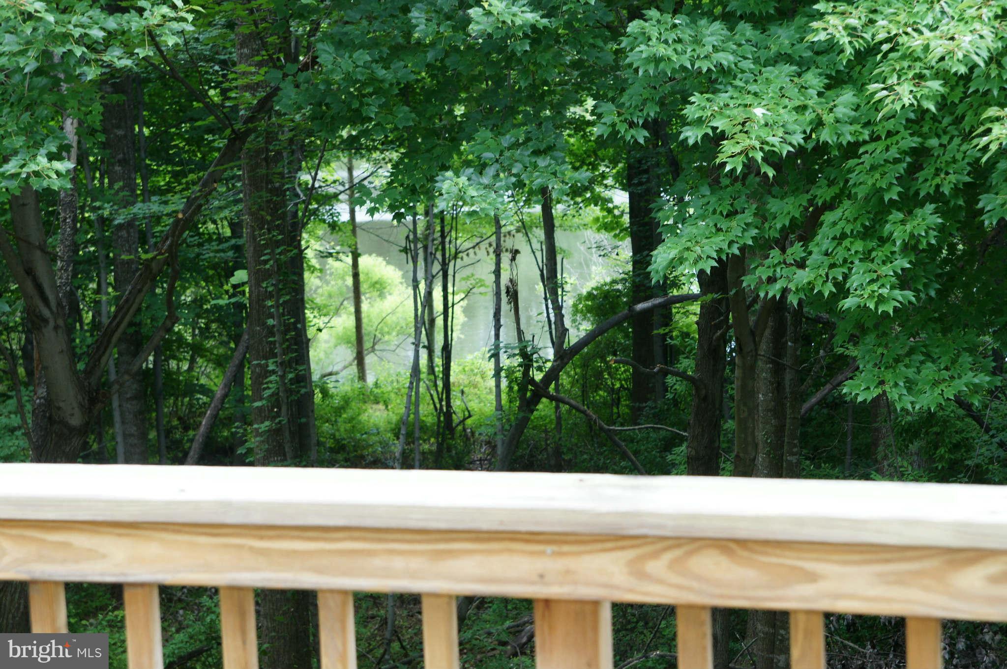 1225 Weatherstone Court Reston, VA 20194 - Photo 13 of 19 View from Deck