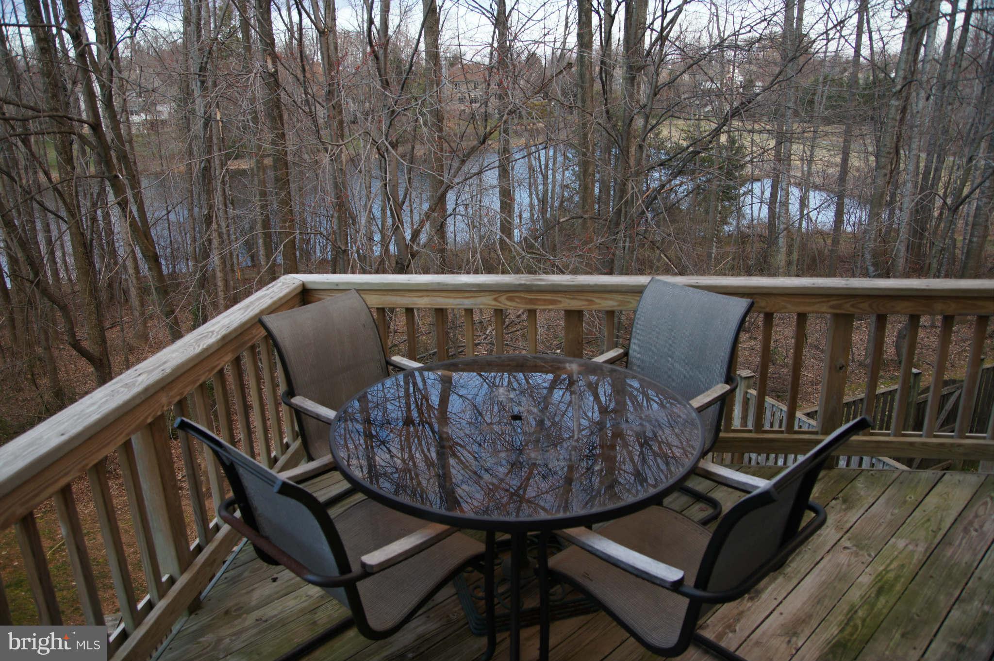 1225 Weatherstone Court Reston, VA 20194 - Photo 14 of 19 Winter/Fall View
