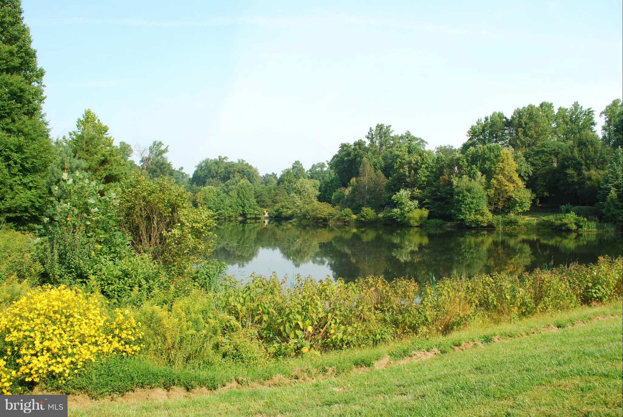 1225 Weatherstone Court Reston, VA 20194 - Photo 17 of 19 Bright Pond