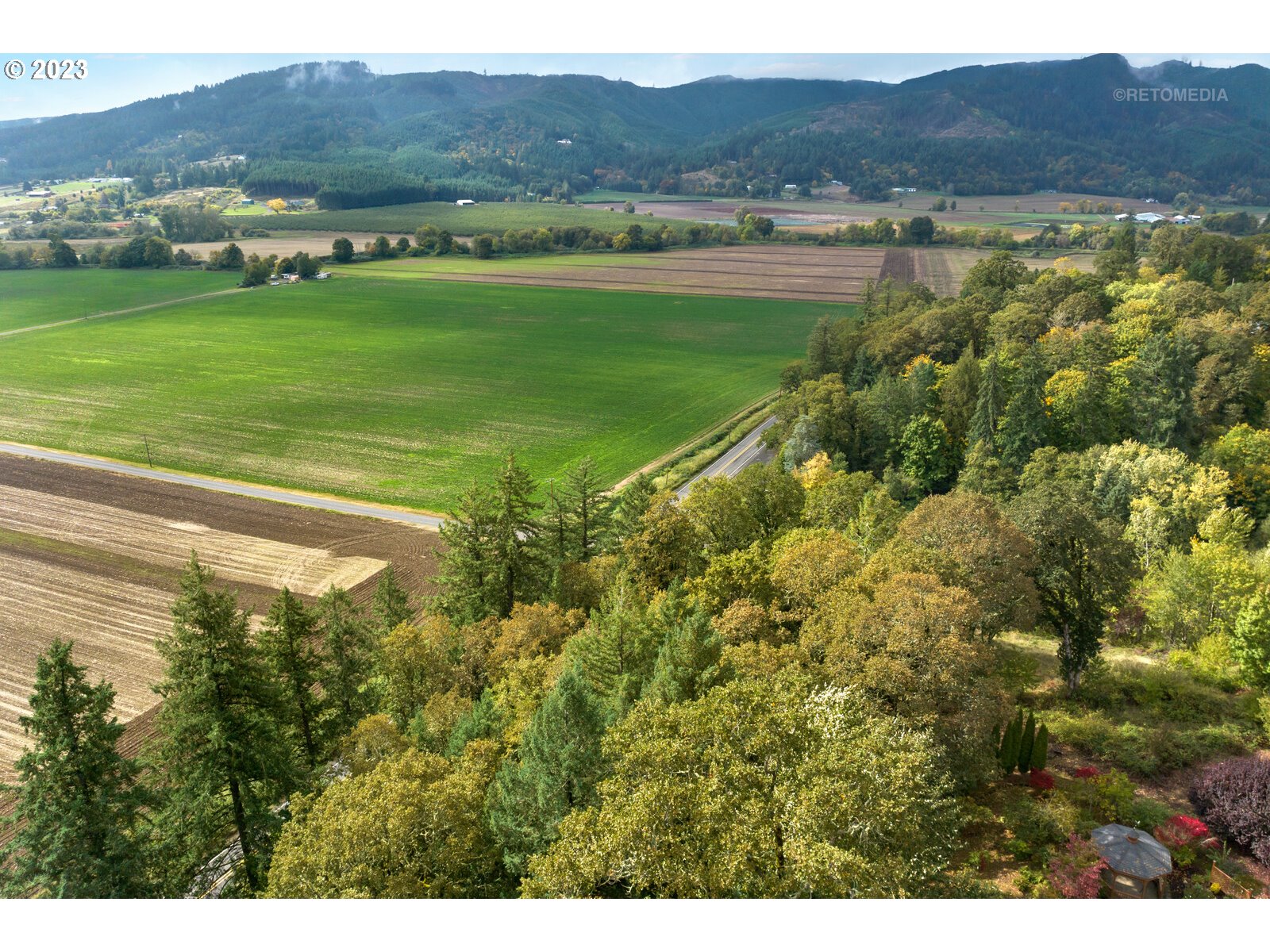 3236 Ridge Pointe Drive Forest Grove, OR 97116 - Photo 40 of 47 a view of lake and mountain view