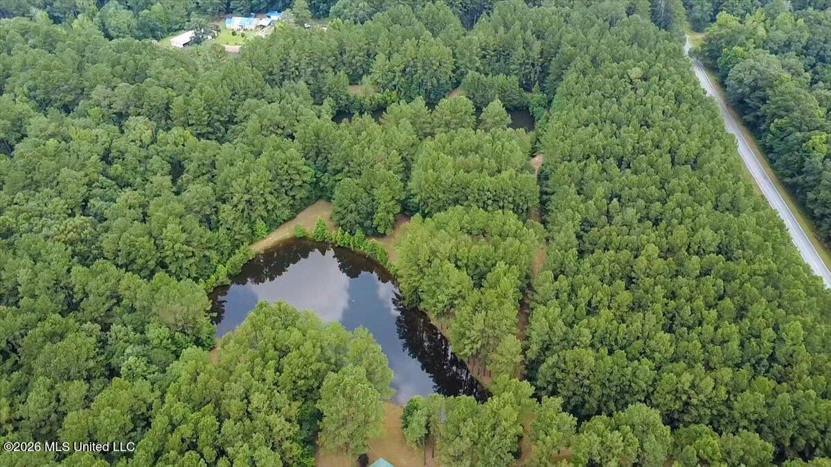 3181 Centerville Road Magnolia, MS 39652 - Photo 47 of 53 48-2026-06-25-11-46-30-574