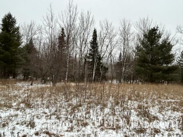 Tbd5 Larson Road Atlantic Mine, MI 49905 - Photo 21 of 56 Gallery Image 21