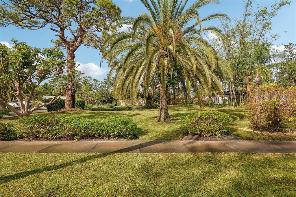 349 Scott Avenue Sarasota, FL 34243 - Photo 43 of 47