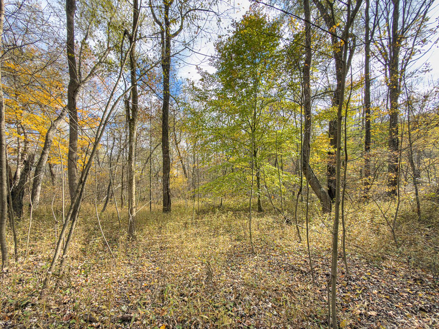 0 Hawk Station Road Wellston, OH 45692 - Photo 12 of 21 Thompsonville Rd 42-12