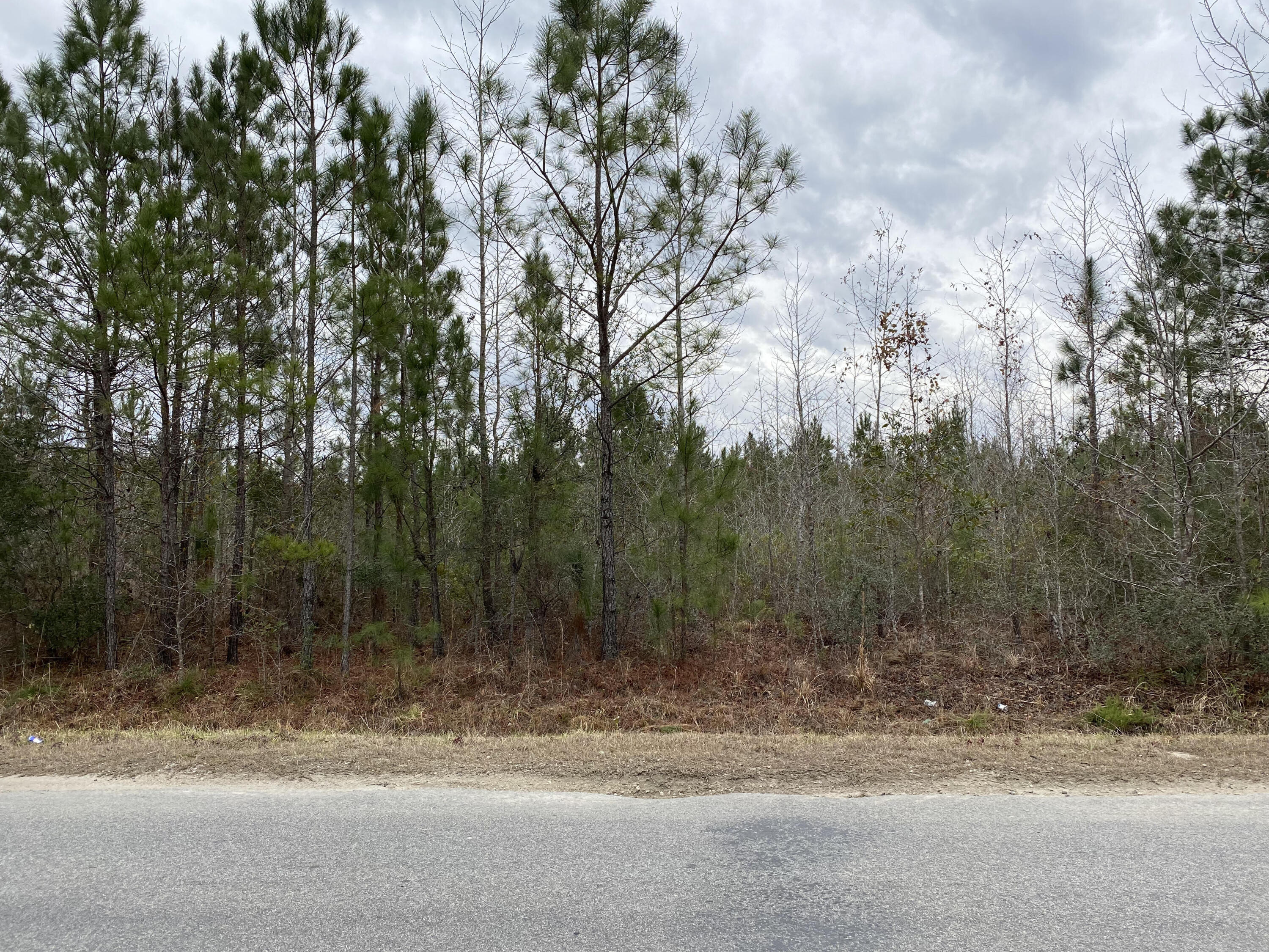 0 Sandridge Road, Unit LOT 1 Dorchester, SC 29437 - Photo 1 of 3 front