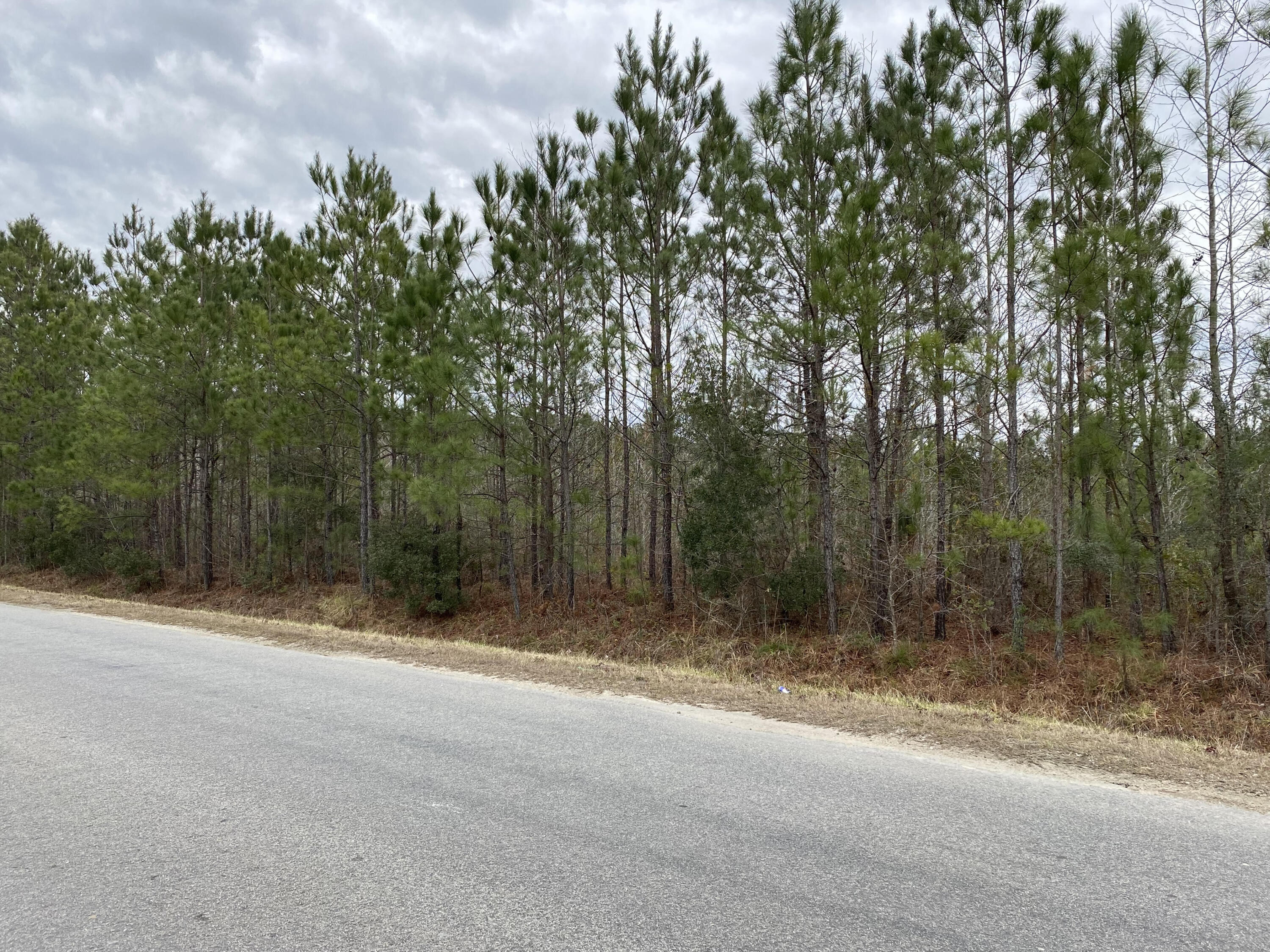 0 Sandridge Road, Unit LOT 1 Dorchester, SC 29437 - Photo 2 of 3 left