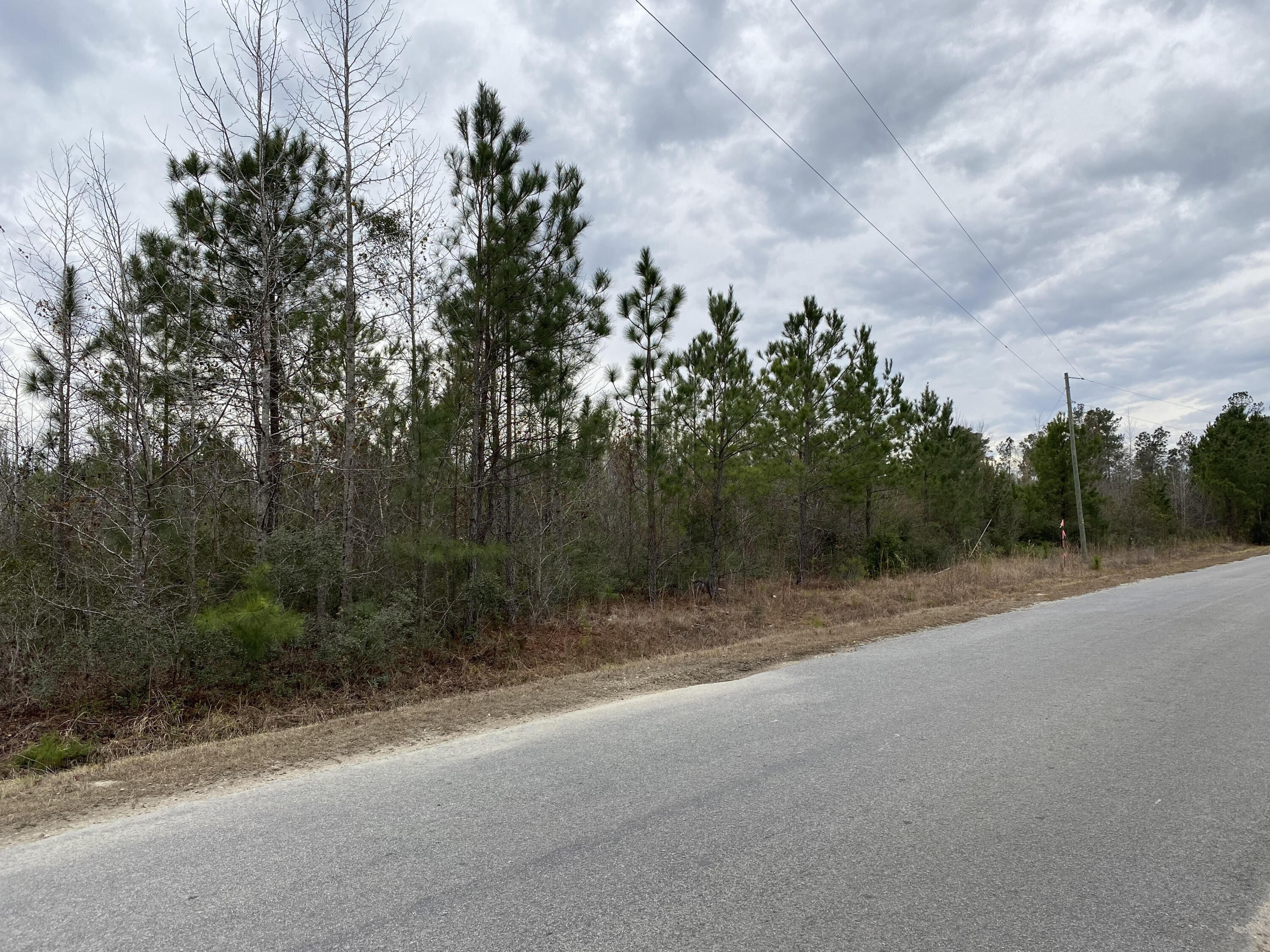 0 Sandridge Road, Unit LOT 1 Dorchester, SC 29437 - Photo 3 of 3 right