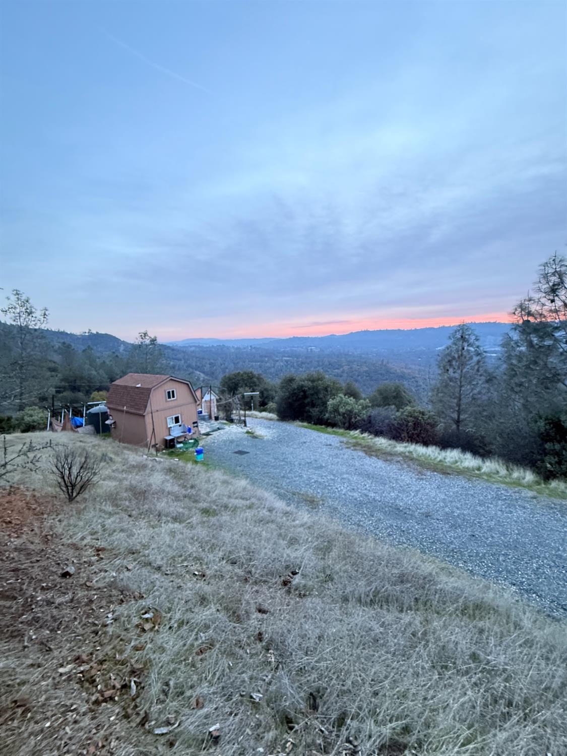 a view of a dry yard with trees