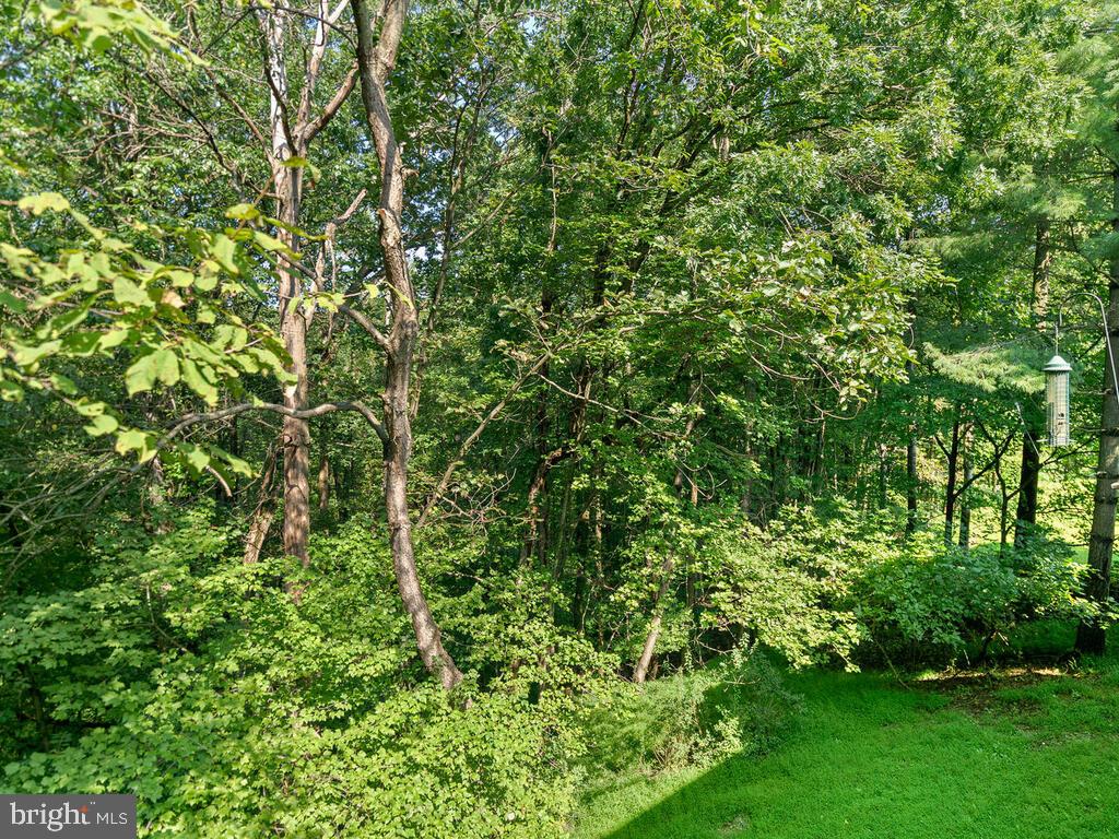 10156 Clearspring Road Damascus, MD 20872 - Photo 38 of 41 Gallery Image 38