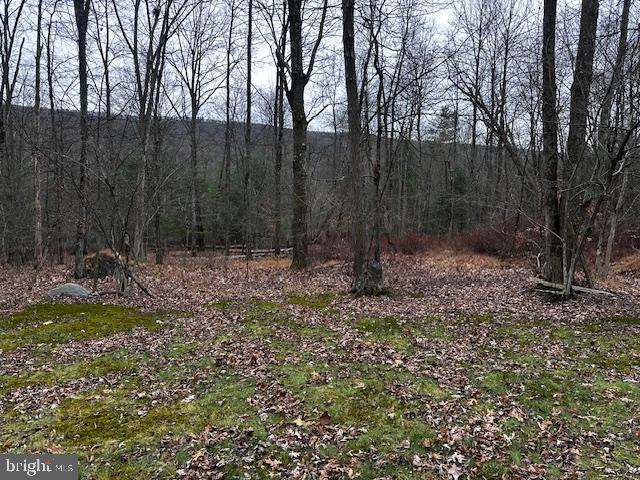 4998 Black Log Road Orbisonia, PA 17243 - Photo 18 of 27