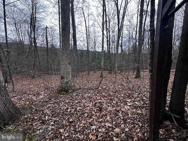 4998 Black Log Road Orbisonia, PA 17243 - Photo 21 of 27