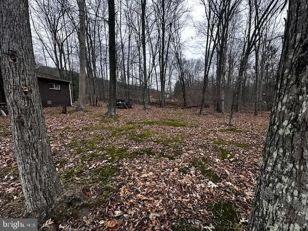 $125,000 | 4998 Black Log Road, Orbisonia, PA 17243