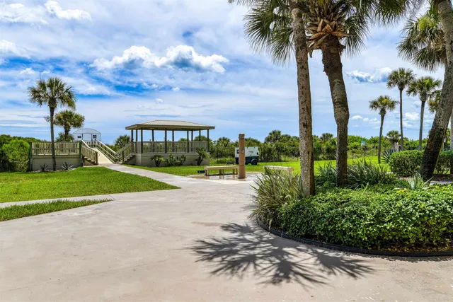 a view of a garden with palm trees