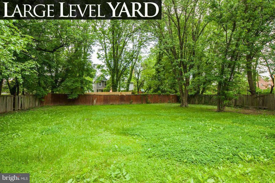 1204 Springfield Avenue Baltimore, MD 21239 - Photo 25 of 28 Backyard