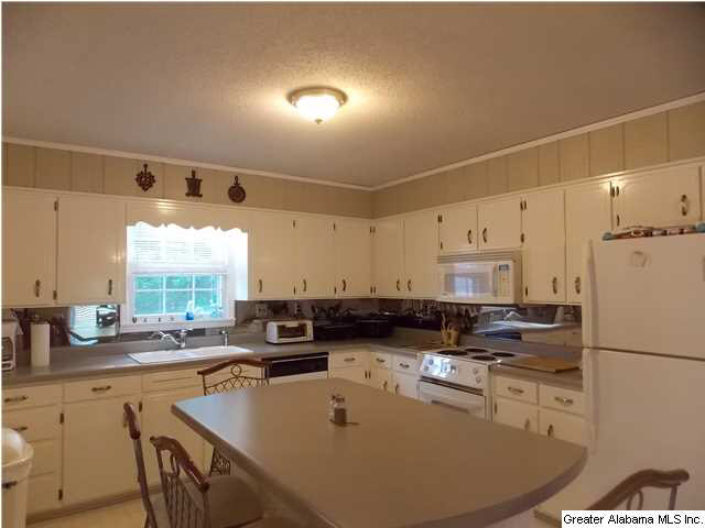 702 Chestnut Street Oneonta, AL 35121 - Photo 7 of 31