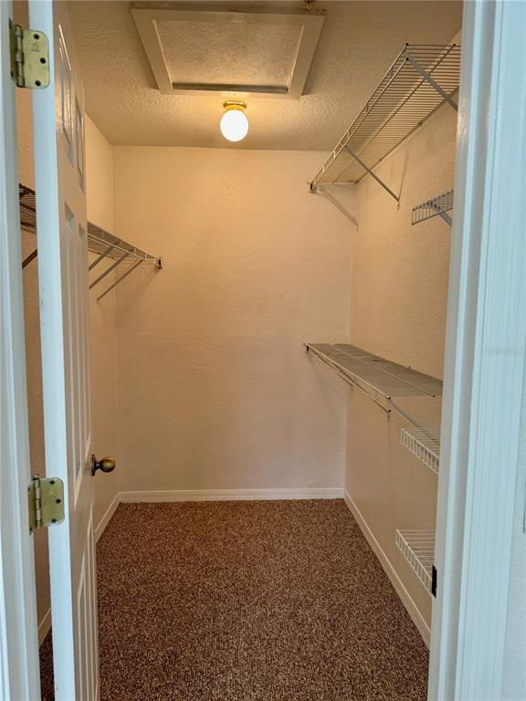 832 Grand Regency Point, Unit 204 Altamonte Springs, FL 32714 - Photo 19 of 19 a bathroom with a shower