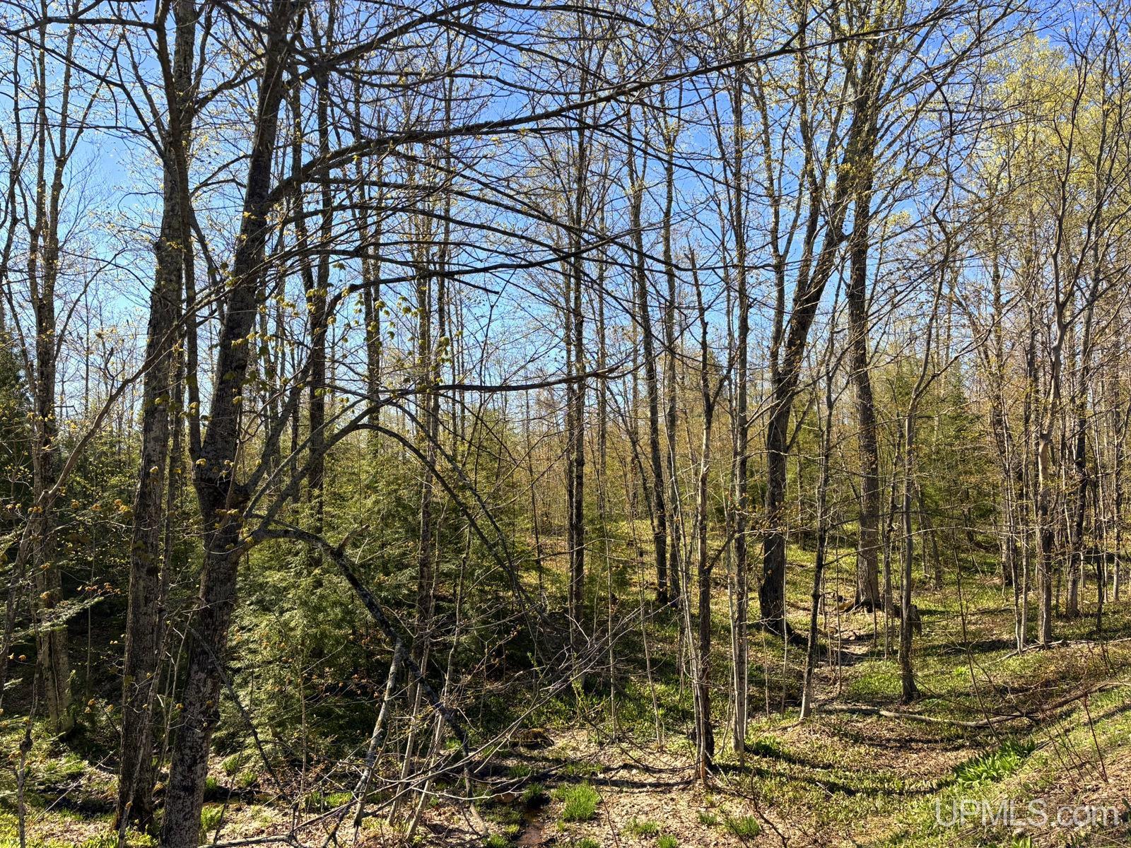 Tbd Tbd Townline Road Skandia, MI 49885 - Photo 45 of 58