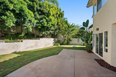 a view of a yard with plants
