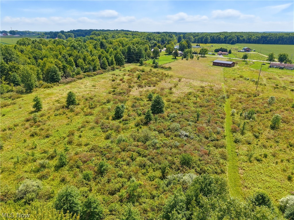 82 State Route Newton Falls, OH 44444 - Photo 6 of 30 Expansive undeveloped land featuring a combination of wooded areas and open fields