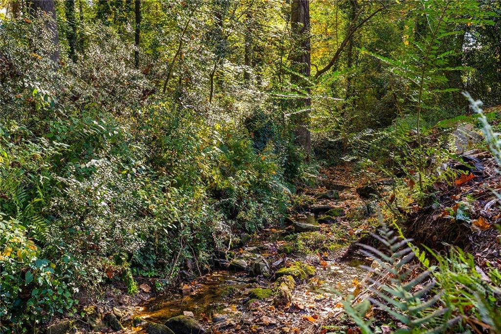 6555 Wright Road Northeast Sandy Springs, GA 30328 - Photo 33 of 40 a view of a tree