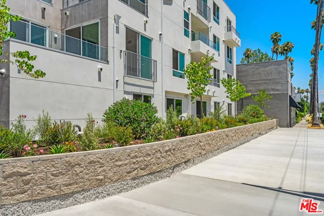 a view of a garden with a plant