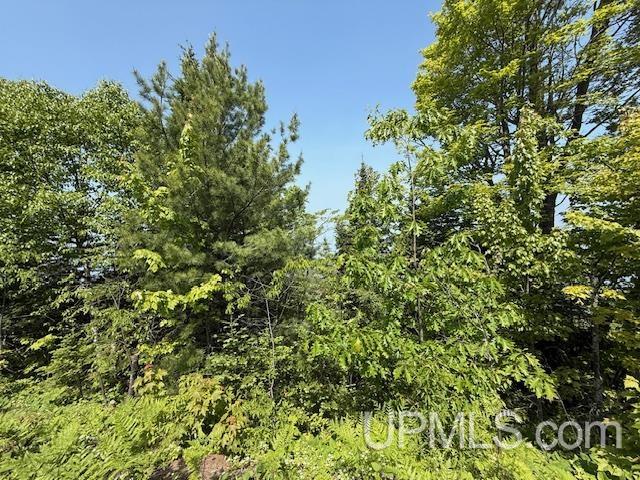 Five 5 Mile Pt Road, Unit LOT 15 OF KIDDER & ROCK S Allouez, MI 49805 - Photo 17 of 46