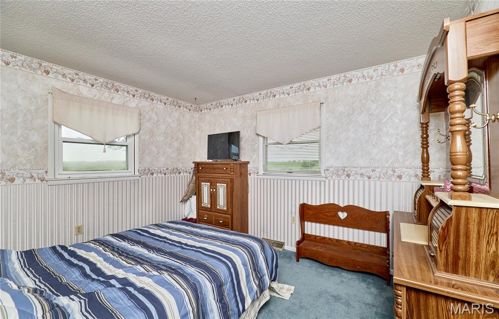 339 White Road Hawk Point, MO 63349 - Photo 20 of 41