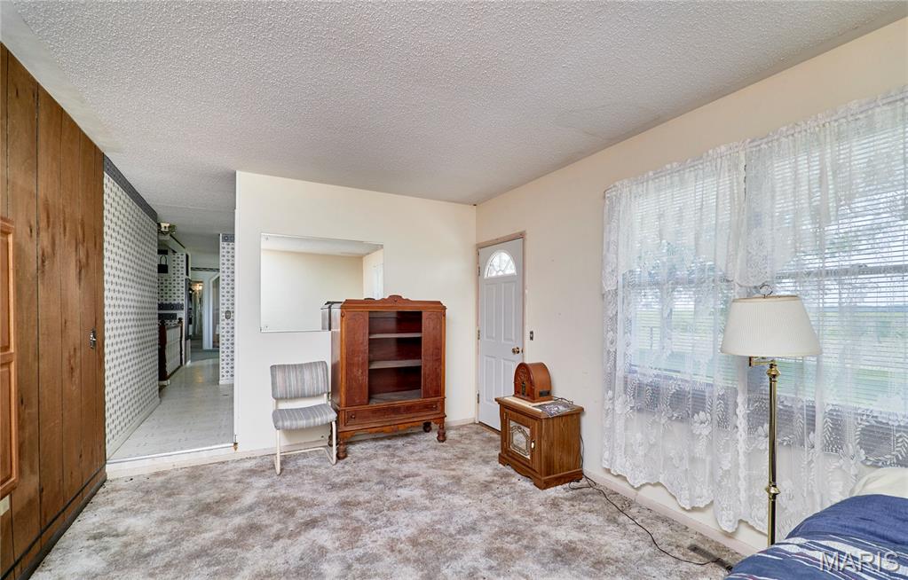 339 White Road Hawk Point, MO 63349 - Photo 24 of 41