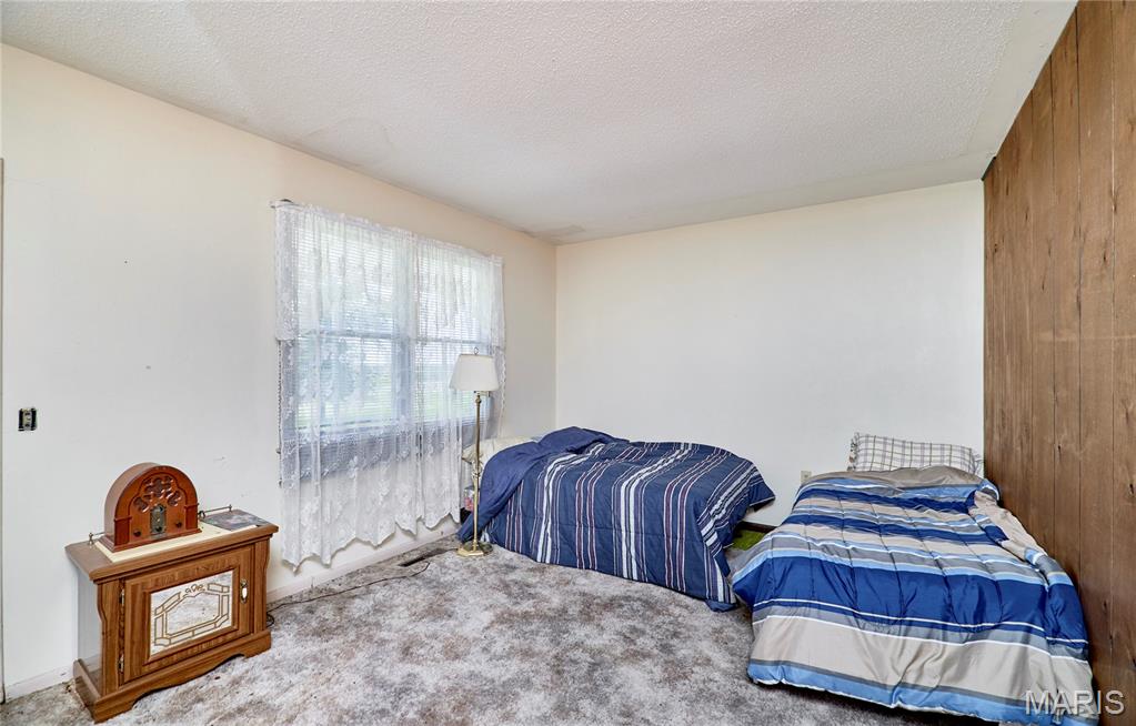 339 White Road Hawk Point, MO 63349 - Photo 26 of 41