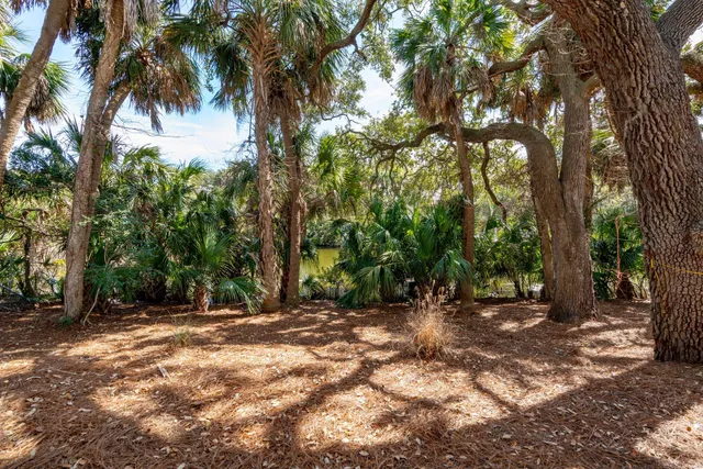 $1,590,000 | 806 Jungle Road, Edisto Island, SC 29438