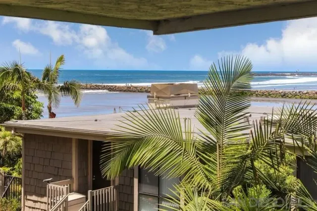 a view of a backyard with plants