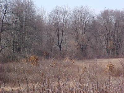 West Sterling Road Jonesville, MI 49250 - Photo 3 of 3 Additional Photo