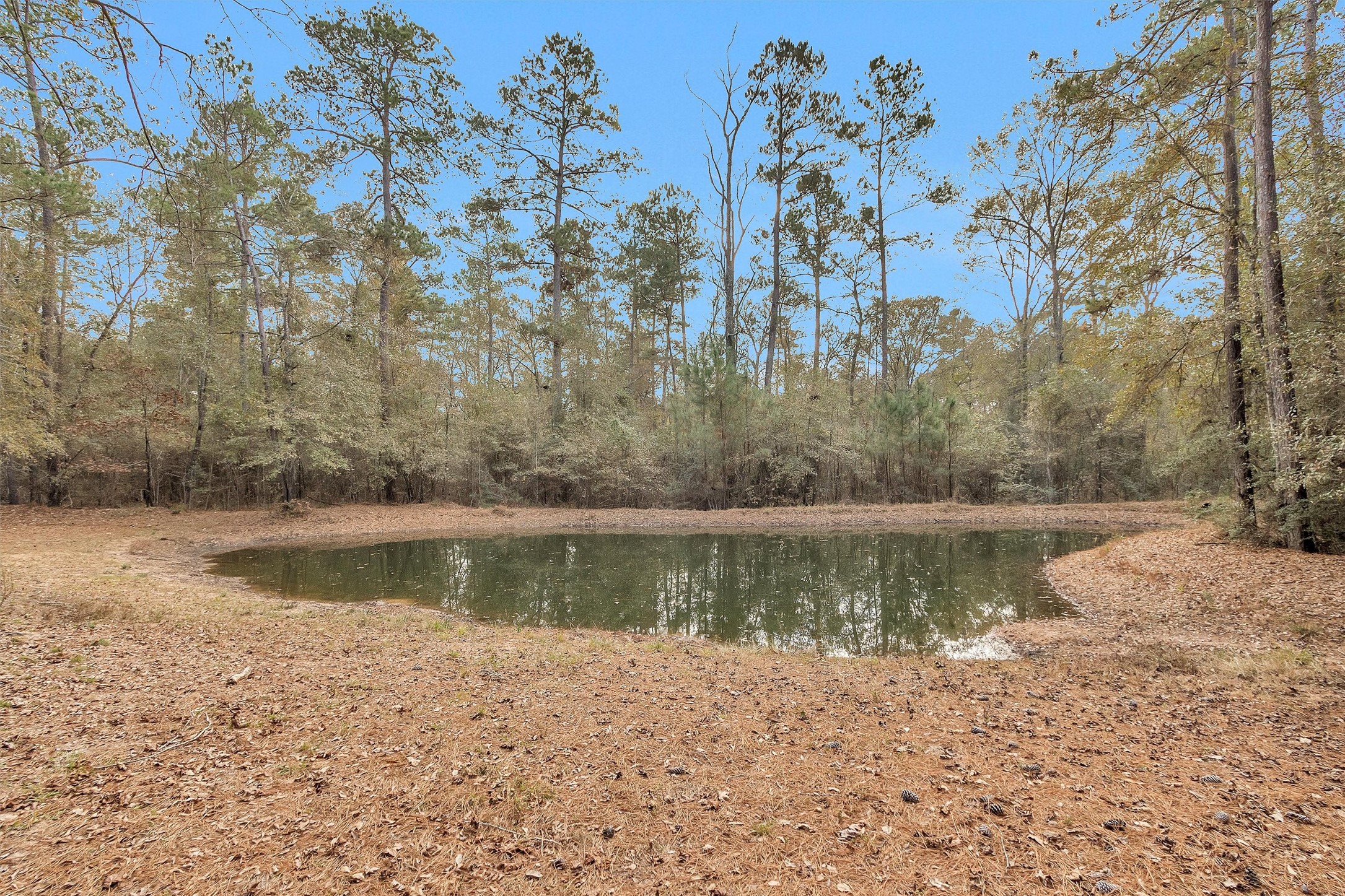 215 Fm 2929 Road Huntsville, TX 77340 - Photo 28 of 50 Serene pond